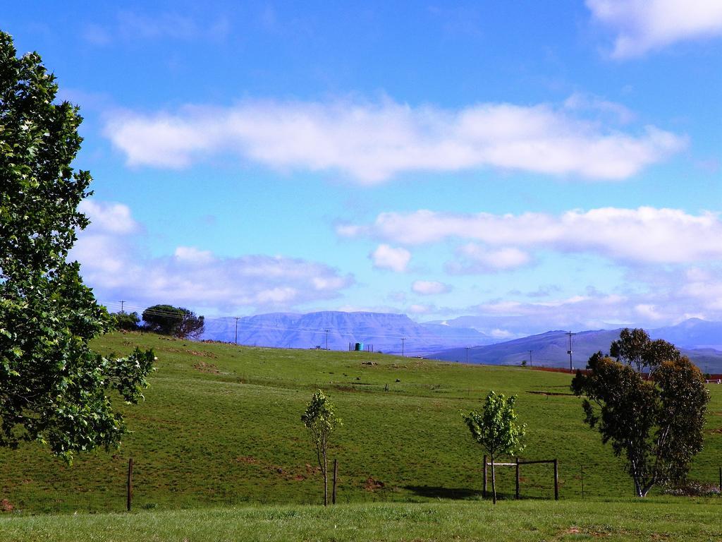 Blackbrook Farm Underberg Exterior photo