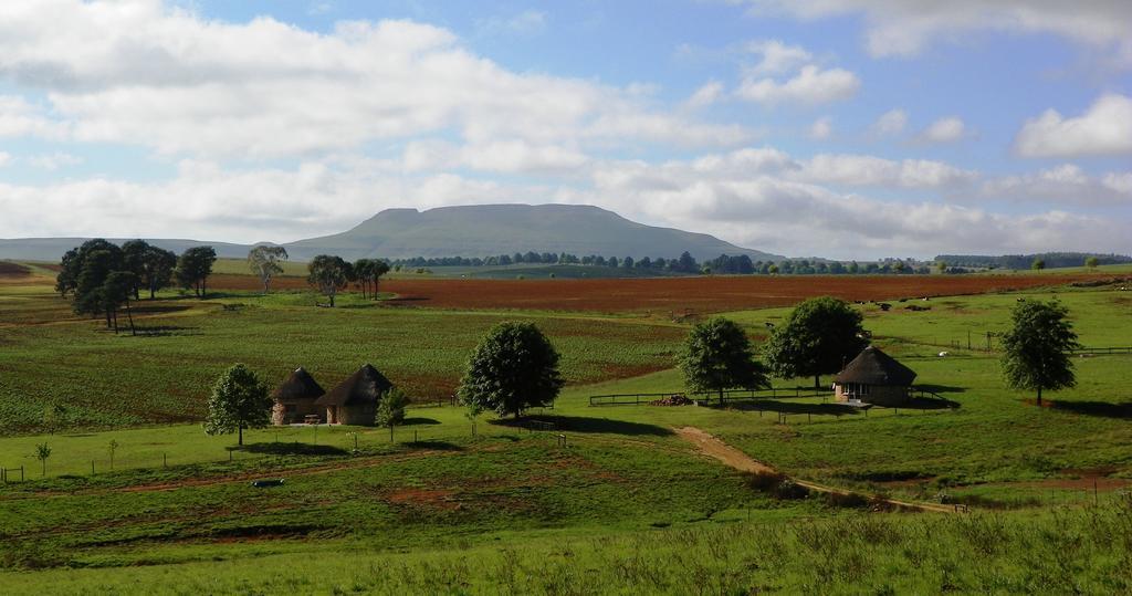 Blackbrook Farm Underberg Exterior photo
